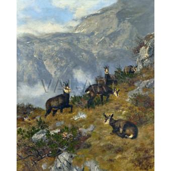 РЕПРОДУКЦИИ НА КАРТИНИ Диви кози във високите планини (1901)